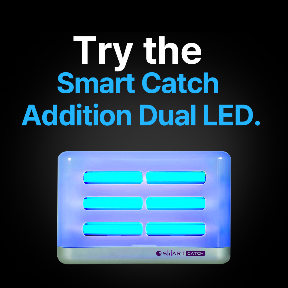 Indoor insect trap Smart Catch ADDITION DUAL LED