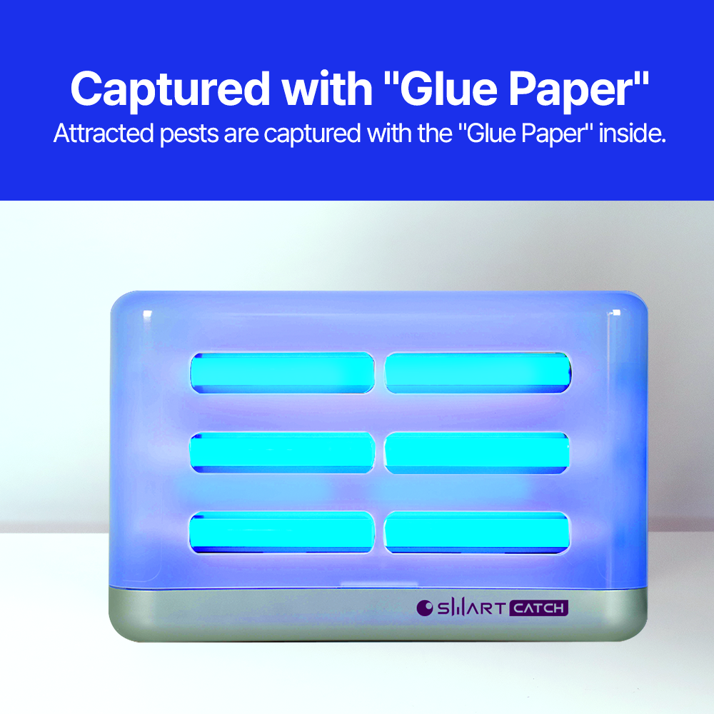 Indoor insect trap Smart Catch ADDITION DUAL LED