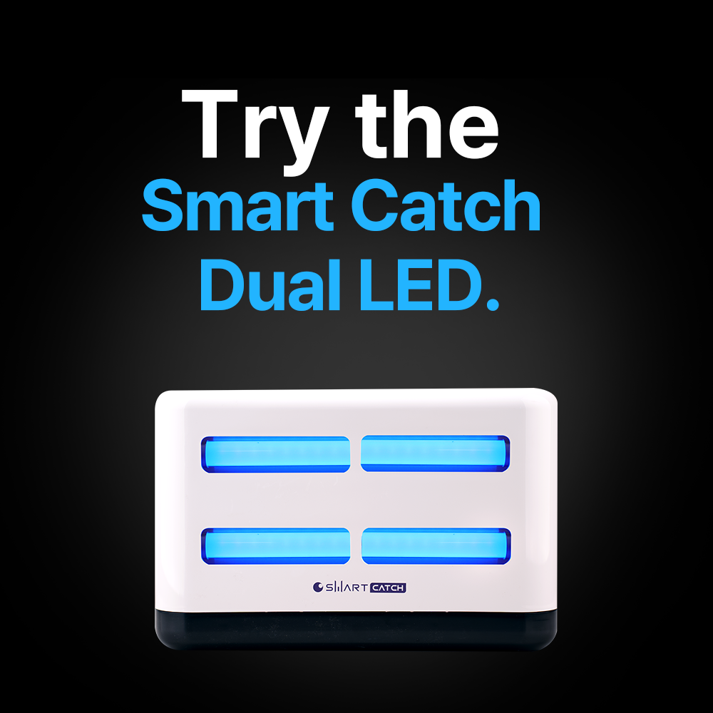 Indoor insect trap Smart Catch DUAL LED