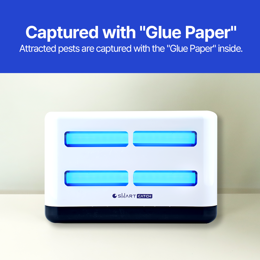 Indoor insect trap Smart Catch DUAL LED