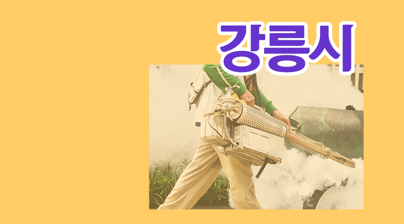 강원도 강릉시